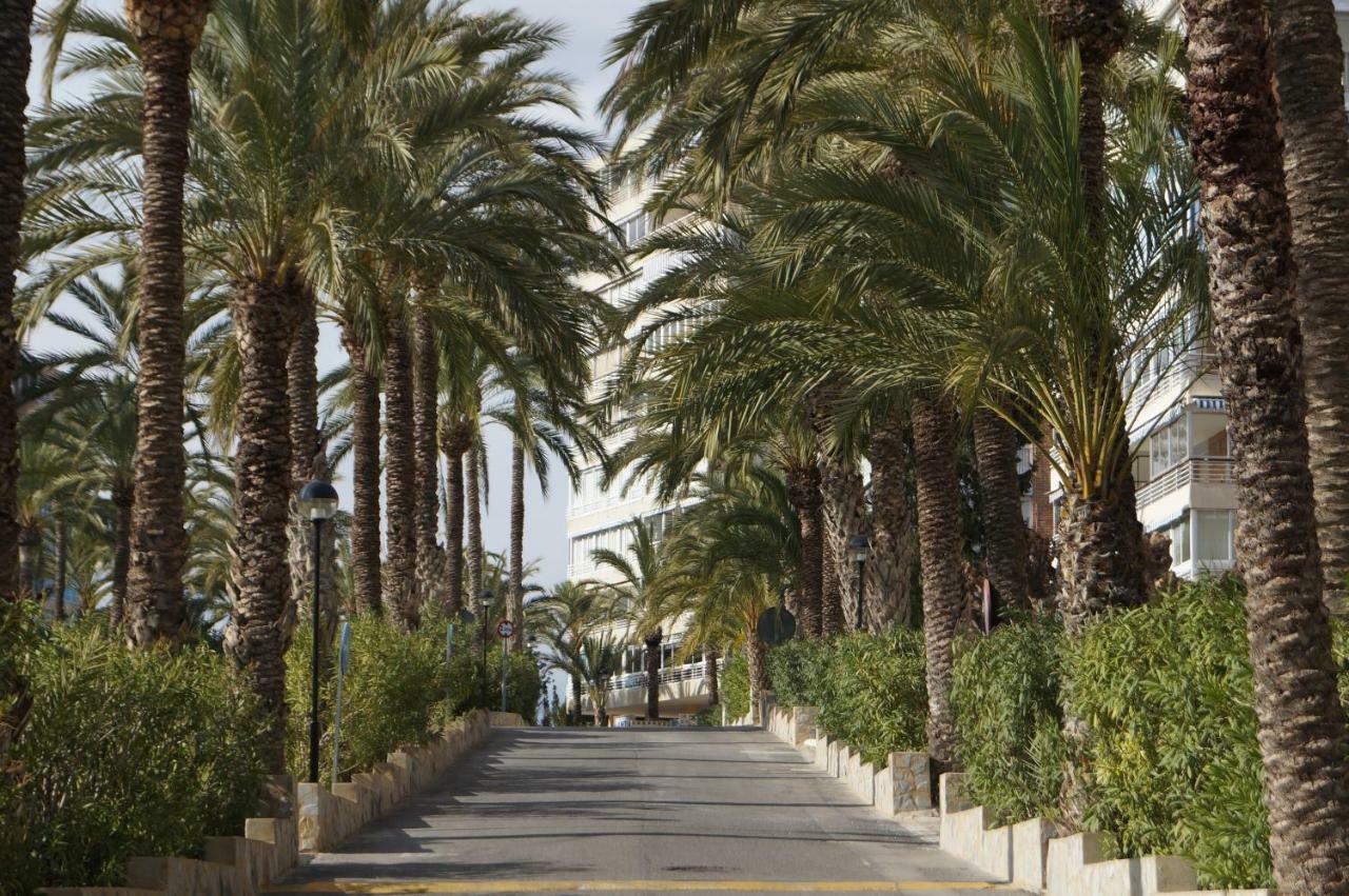 Barbara 20 Playa Muchavista Alicante El Campello Dış mekan fotoğraf